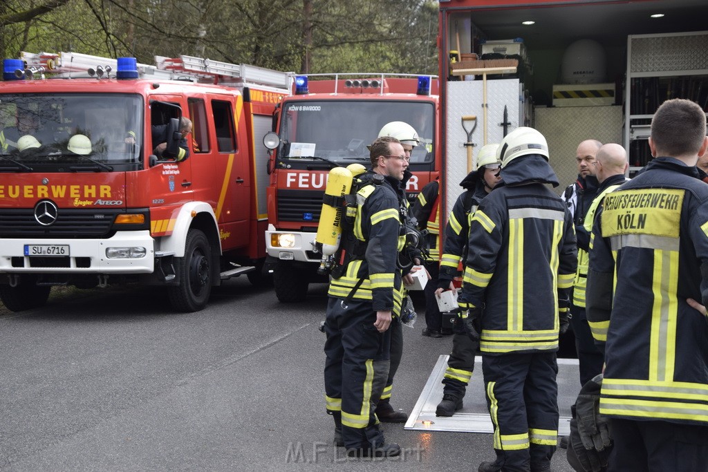 Waldbrand Wahner Heide Troisdorf Eisenweg P059.JPG - Miklos Laubert